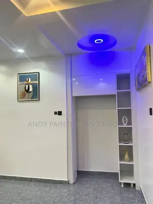 Professional Painting and Room Designer