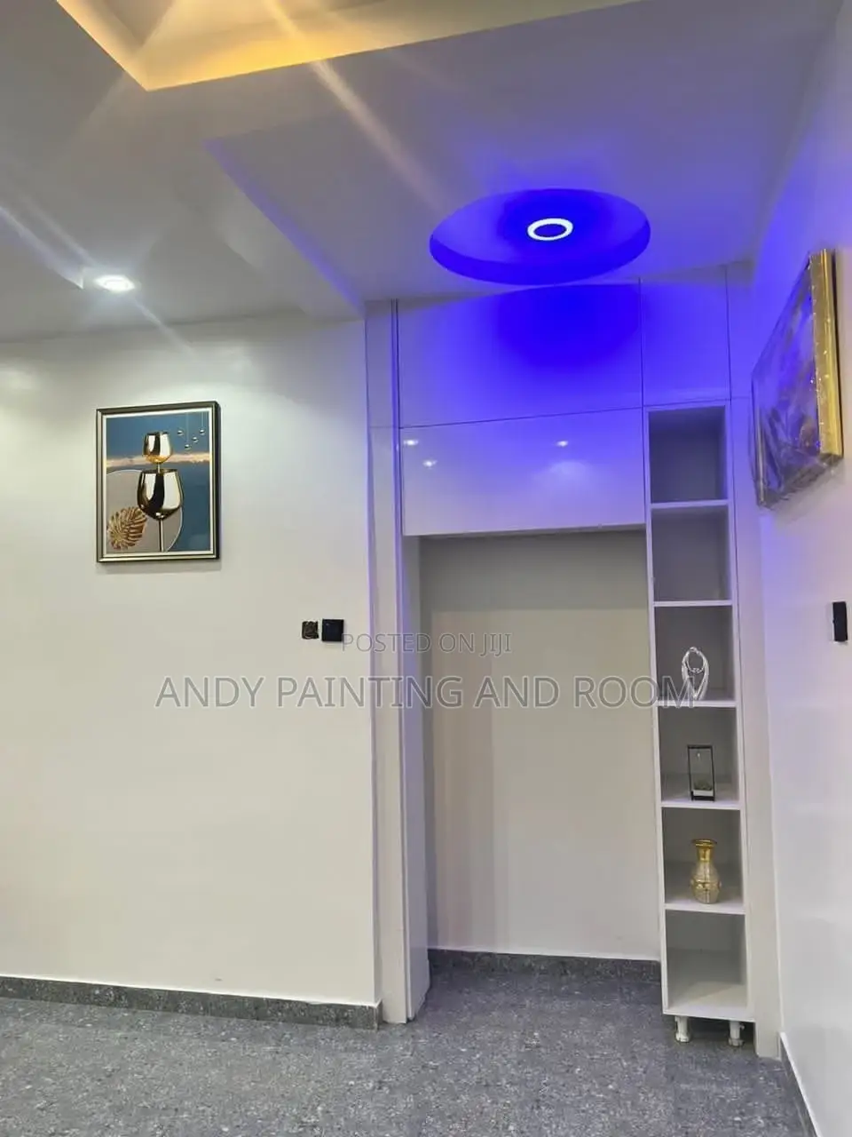 Professional Painting and Room Designer