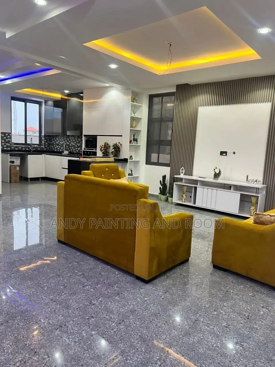 Professional Painting and Room Designer