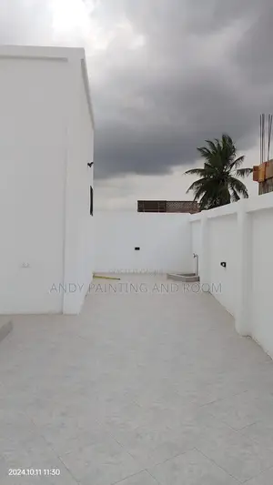 Professional Painting and Wallpaper Installation