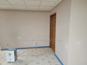 Specialized in 3d Painting and Home Painting
