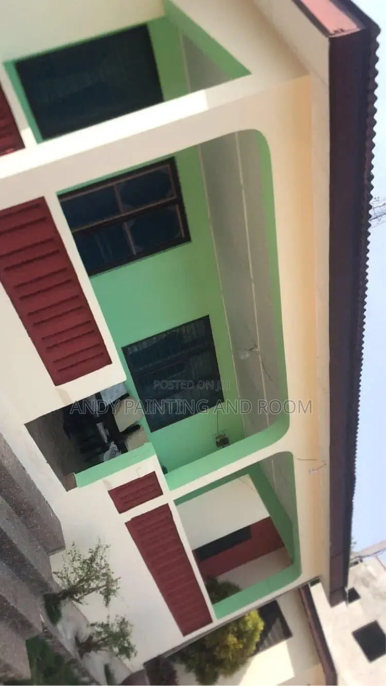 Professional Painting Solution