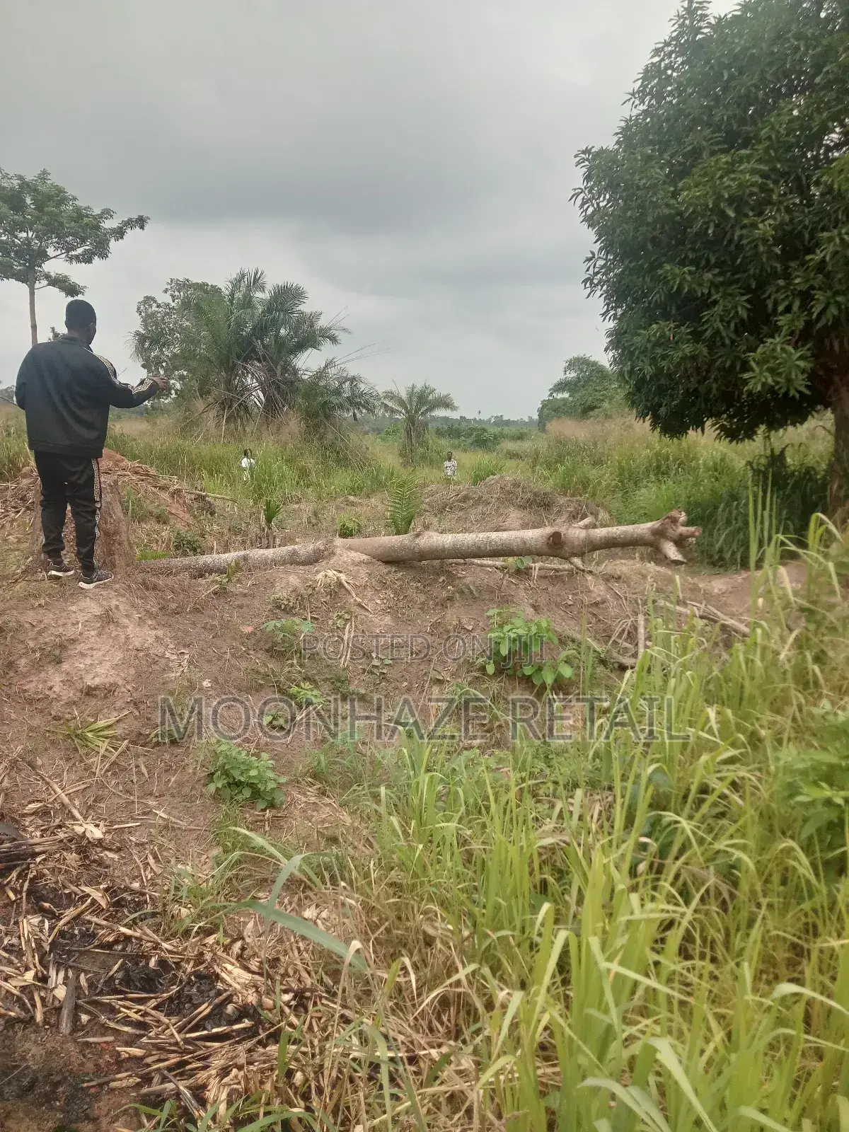 Hot Lands for Sale at Jachie-Pramso, Bosomtwe District!
