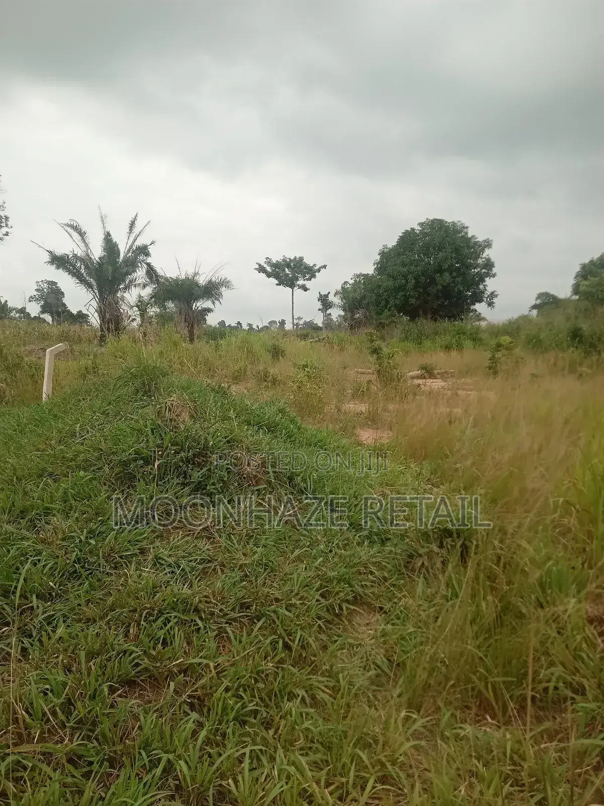 Hot Lands for Sale at Jachie-Pramso, Bosomtwe District!