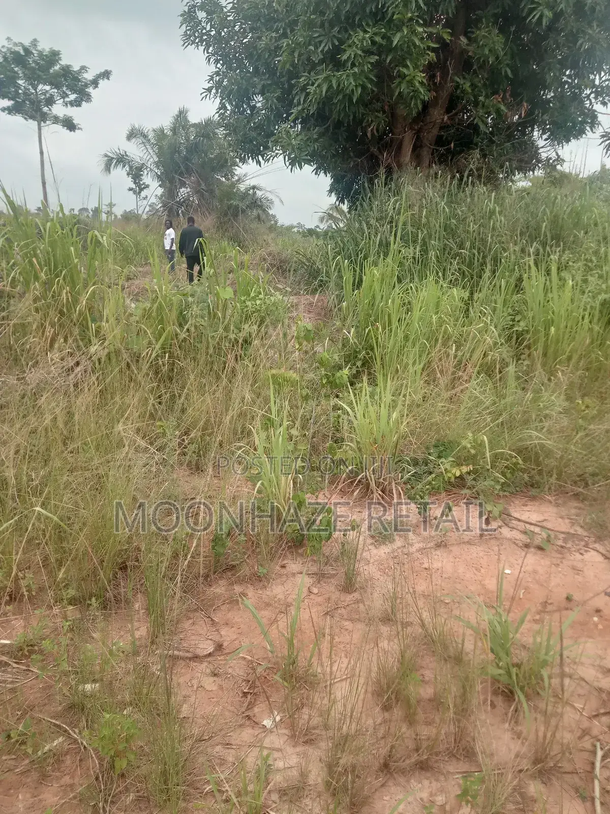 Hot Lands for Sale at Jachie-Pramso, Bosomtwe District!
