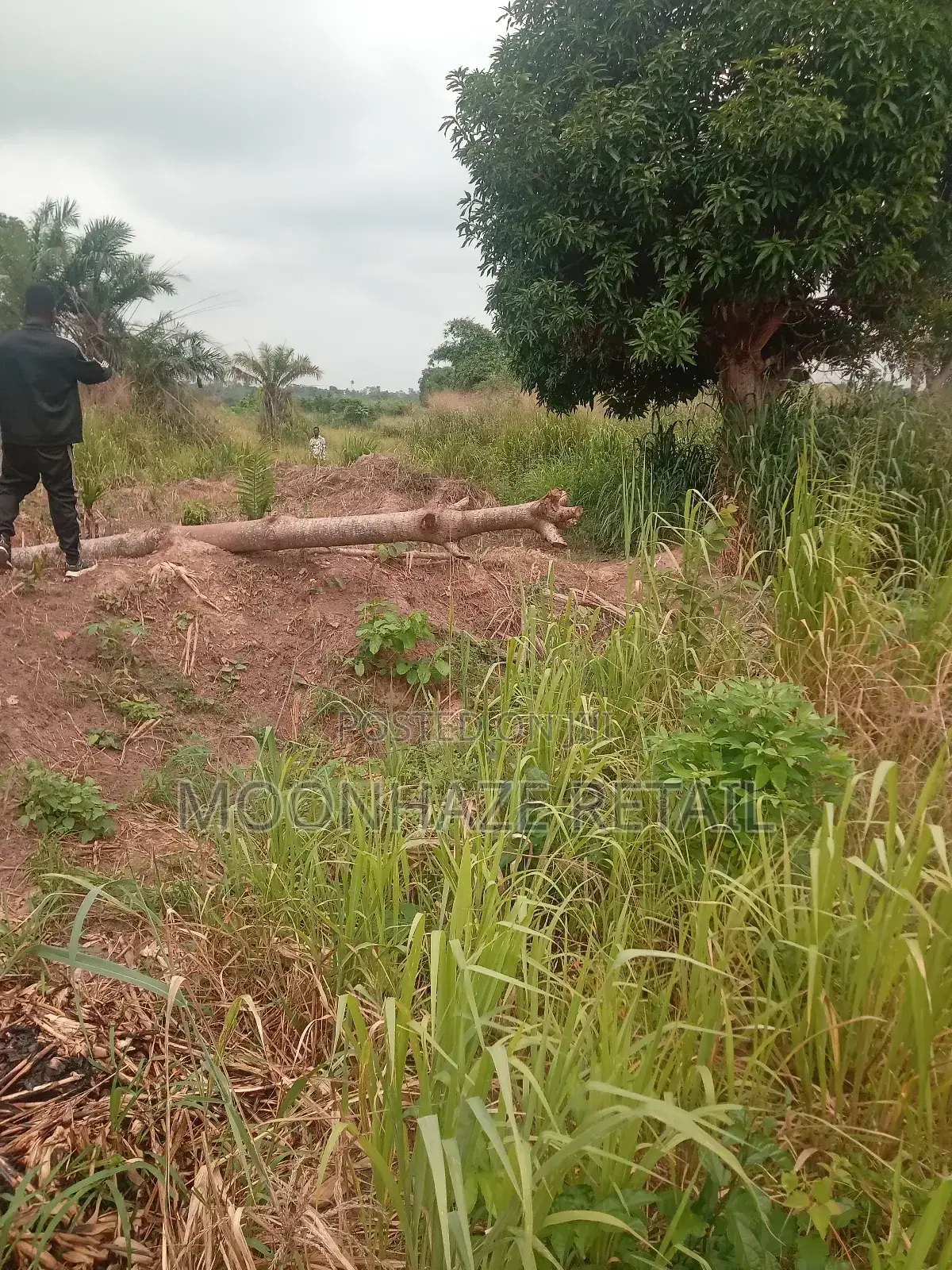 Hot Lands for Sale at Jachie-Pramso, Bosomtwe District!