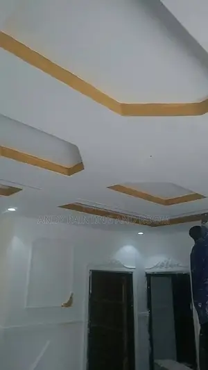 Experience 3d Wall Design and Painting