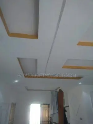 Experience 3d Wall Design and Painting