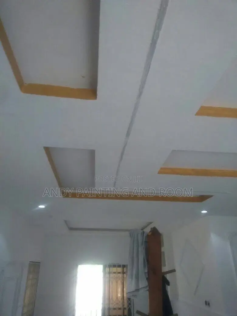 Experience 3d Wall Design and Painting