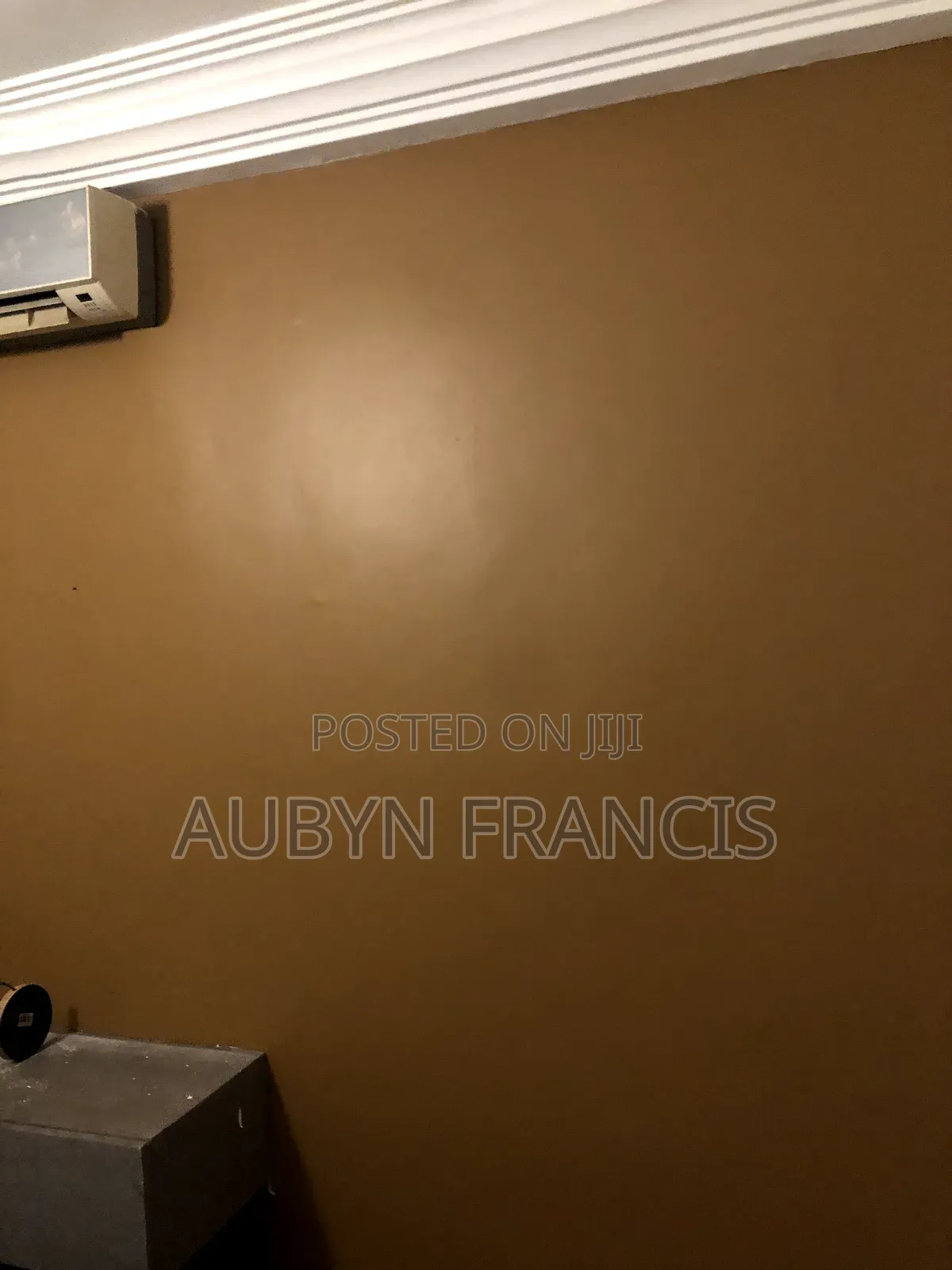 Professional Graffiato And Stucco Painting Expert