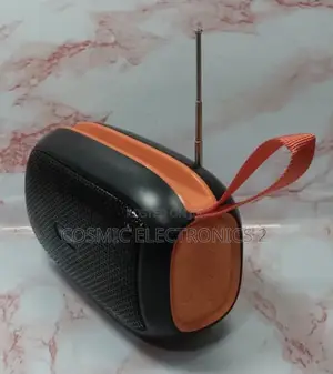 N339 Portable Wireless Speaker