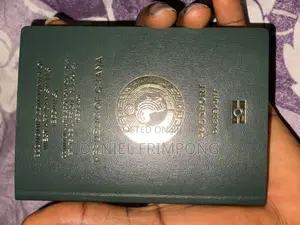 Frimpong Passport Services