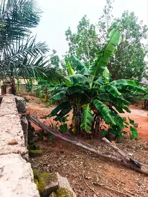 Land for Sale at Acp Estate, Cool Water Area