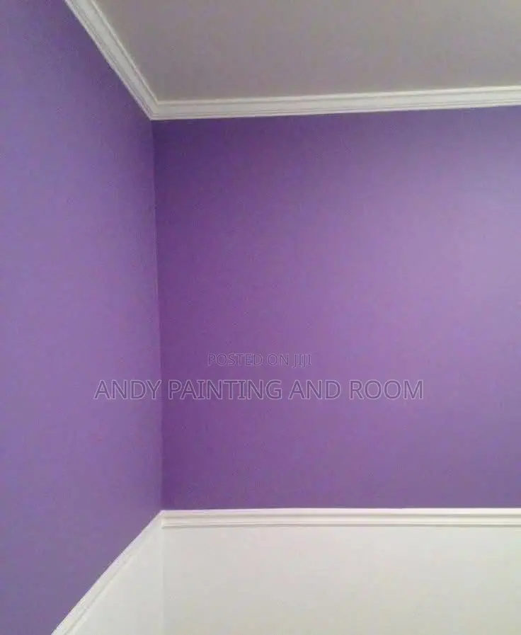 Mr Pro Painting and 3d Designer