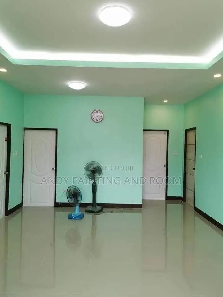 Professional Painting and 3d Wall Designing