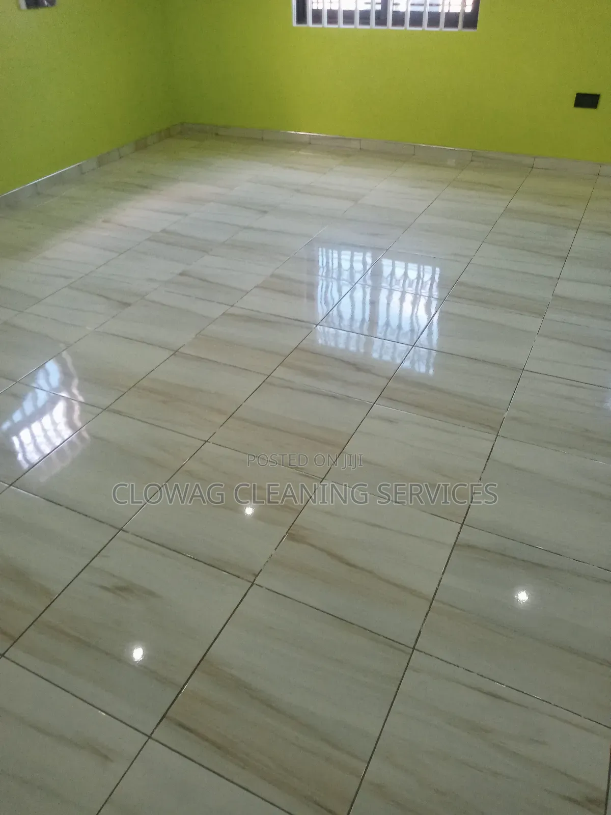 Professional Cleaning Services,.,