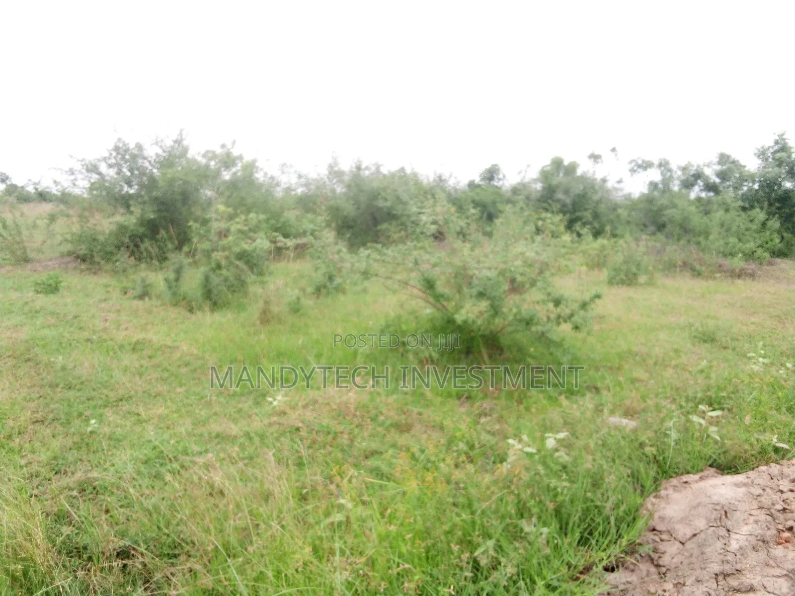 Two Plots at Affordable Price - Appolonia