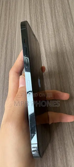 Apple iPhone 12 Pro Max 128 GB Blue