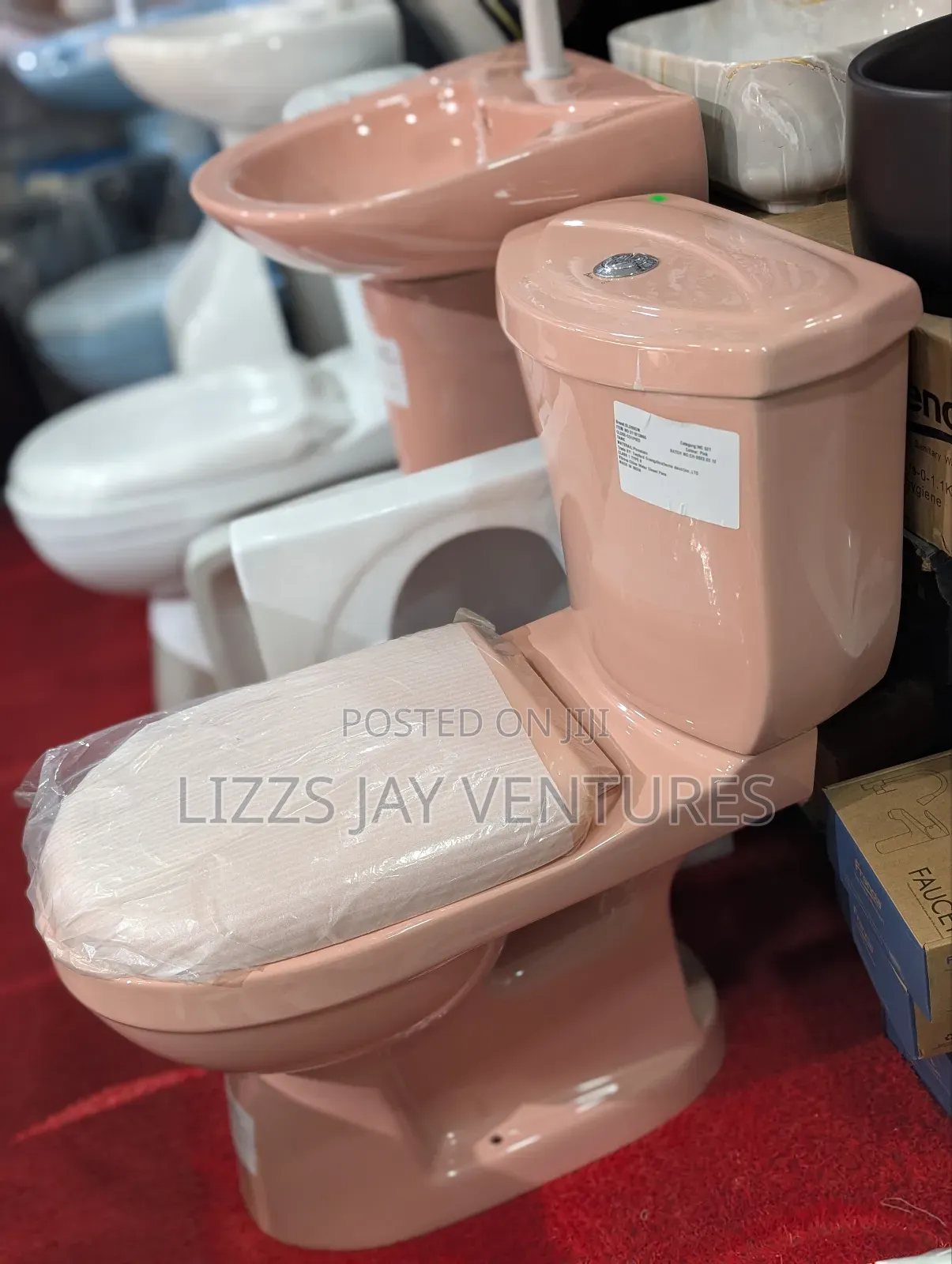 Combo Water Closet, Basin Tap