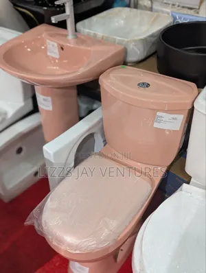 Combo Water Closet, Basin Tap