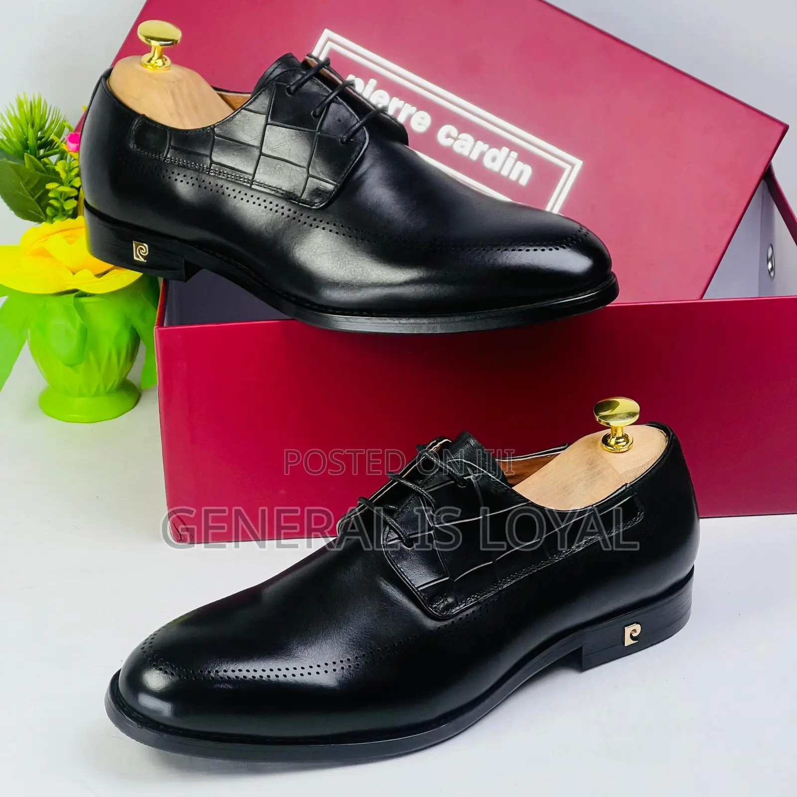 Pierre Cardin Lace Up Black and Coffee