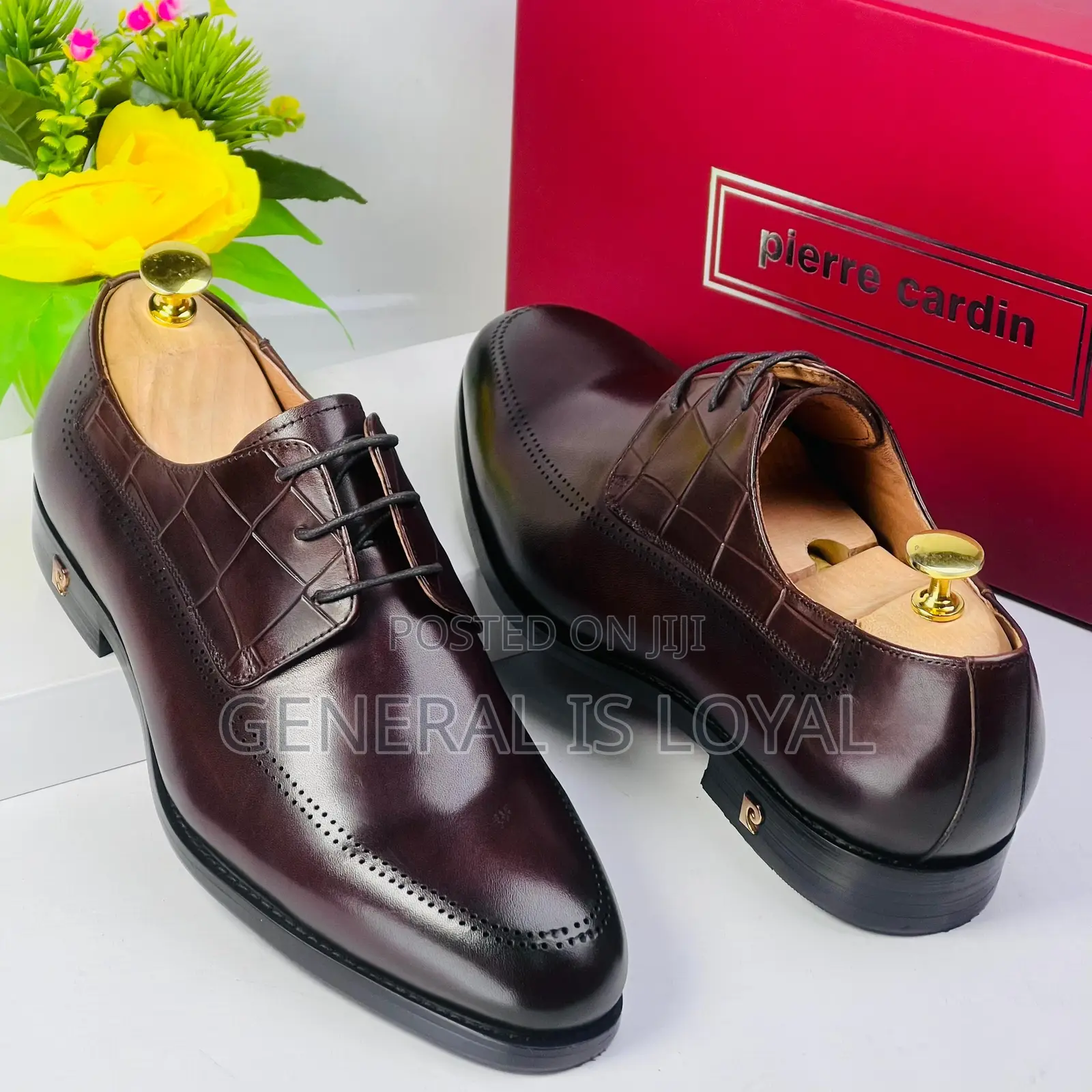Pierre Cardin Lace Up Black and Coffee