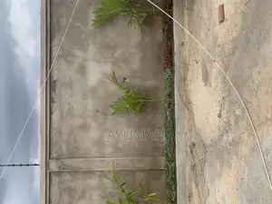 Flowers for Sale