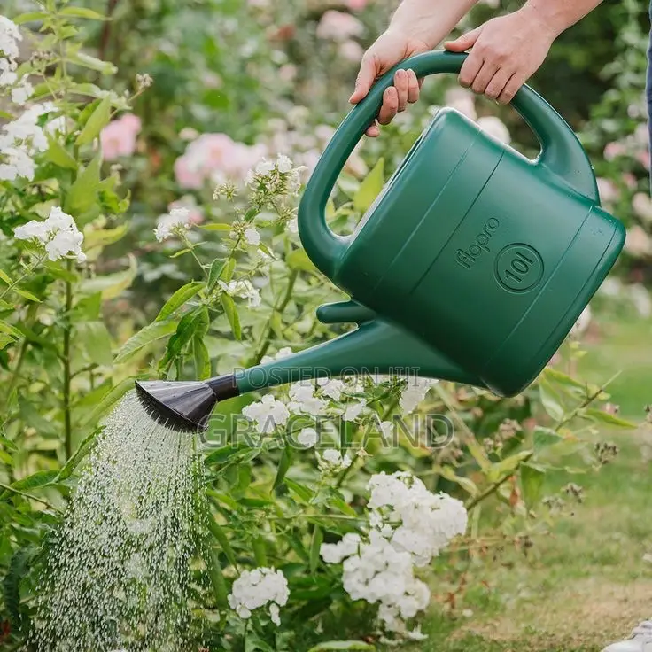 This Is Original Watering Can for Home Outdoor Indoor.