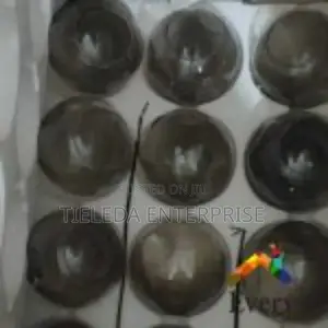 ( 41) Muiti Purpose Pendant Light