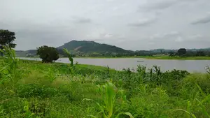 Volta Region - Tongor (Kaira) _ 3 Acres Riverfront Land