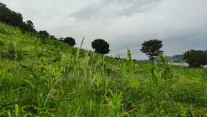 Volta Region, Tongor (Kaira) _ 3 Acres Riverfront Land