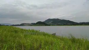 Volta Region, Tongor (Kaira) _ 3 Acres Riverfront Land