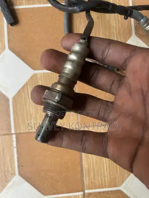 Volkswagen Oxygen Sensor