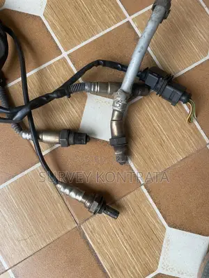 Volkswagen Oxygen Sensor