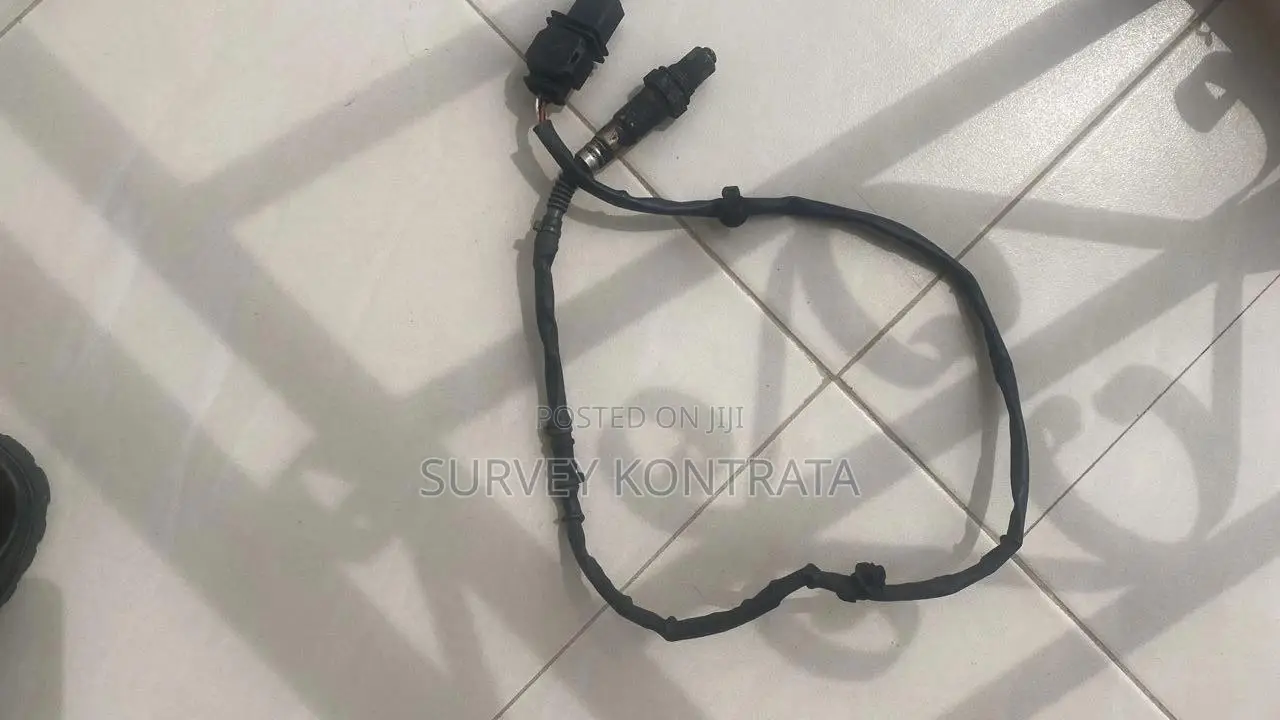Volkswagen Oxygen Sensor