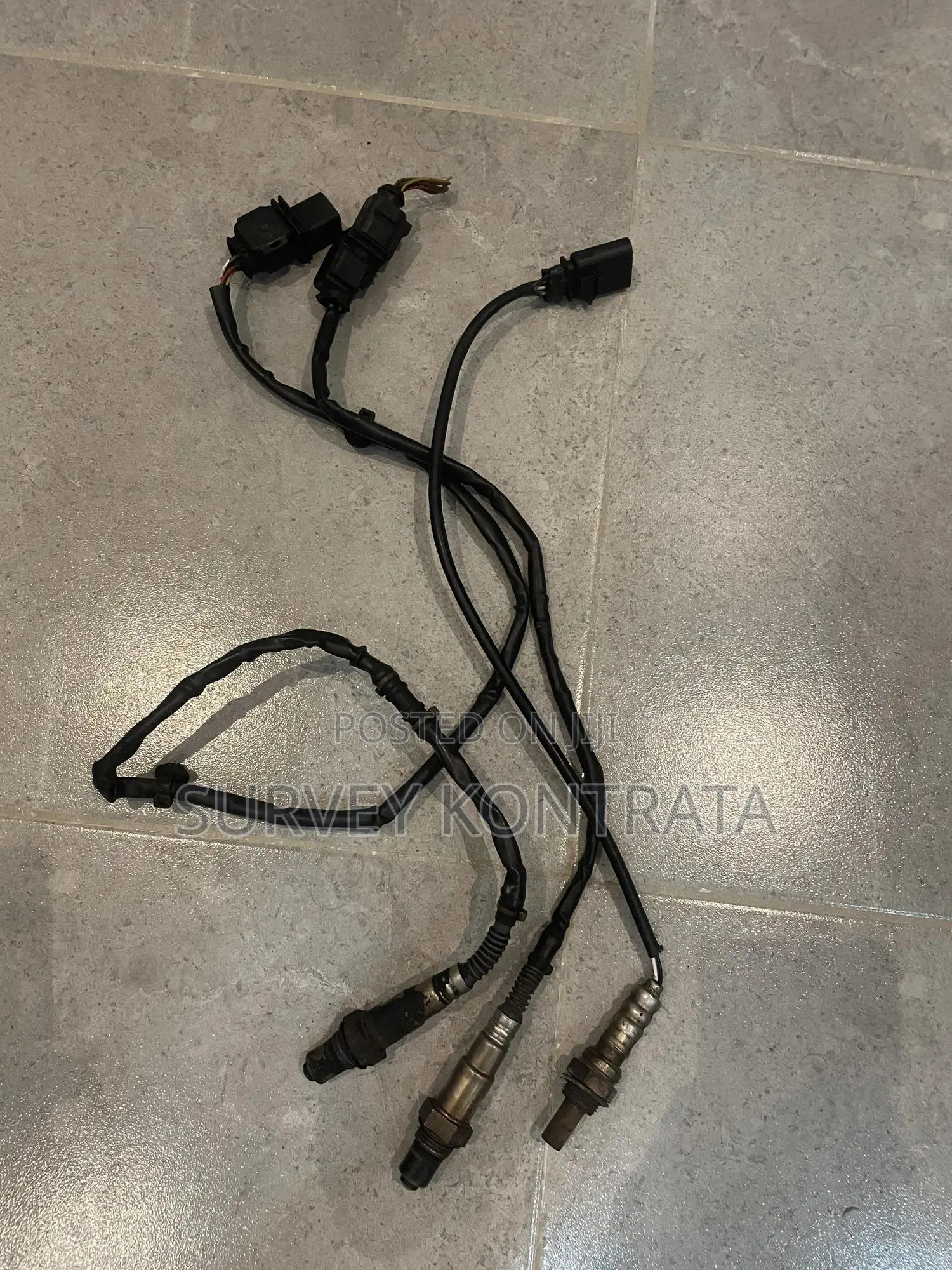 Volkswagen Oxygen Sensor