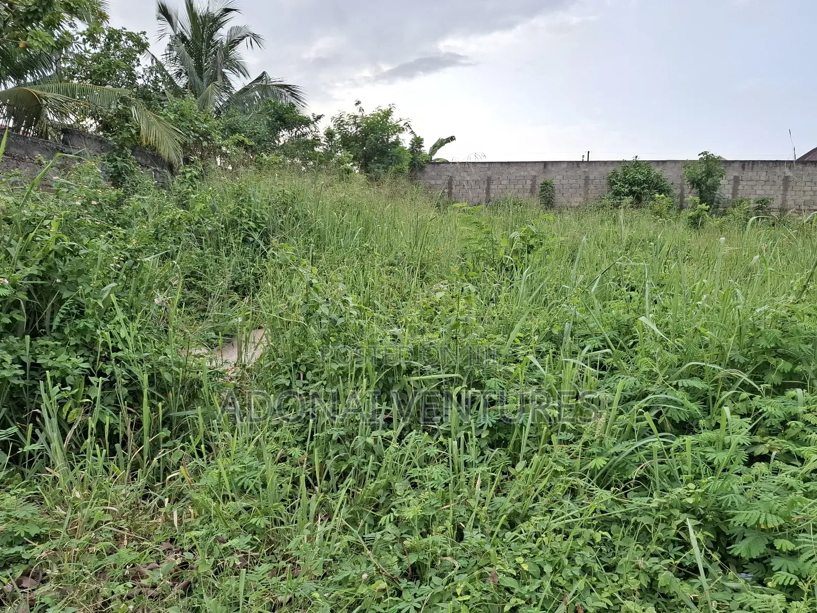 One Full Plot of Land for Sale in Daban