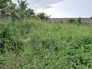 One Full Plot of Land for Sale in Daban