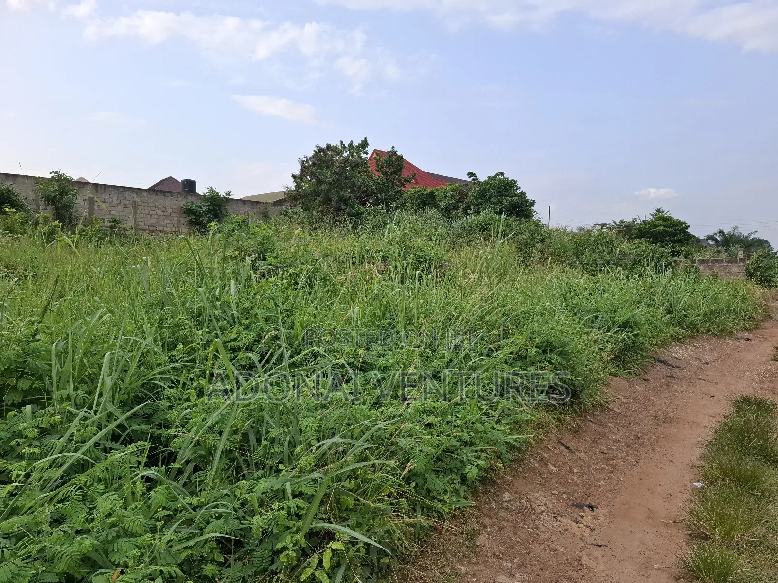 One Full Plot of Land for Sale in Daban