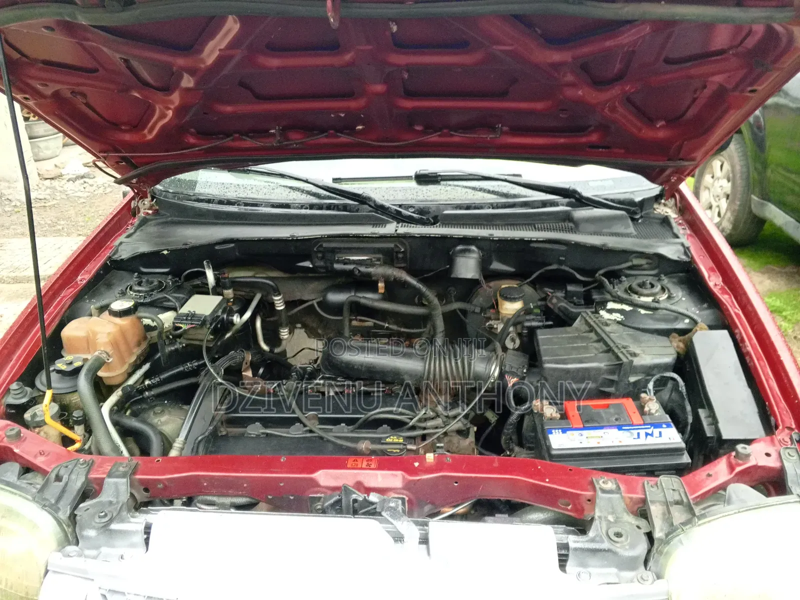Ford Escape 2004 Red