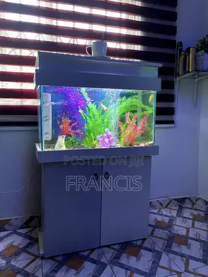 Photo - Fully Finished Aquarium
