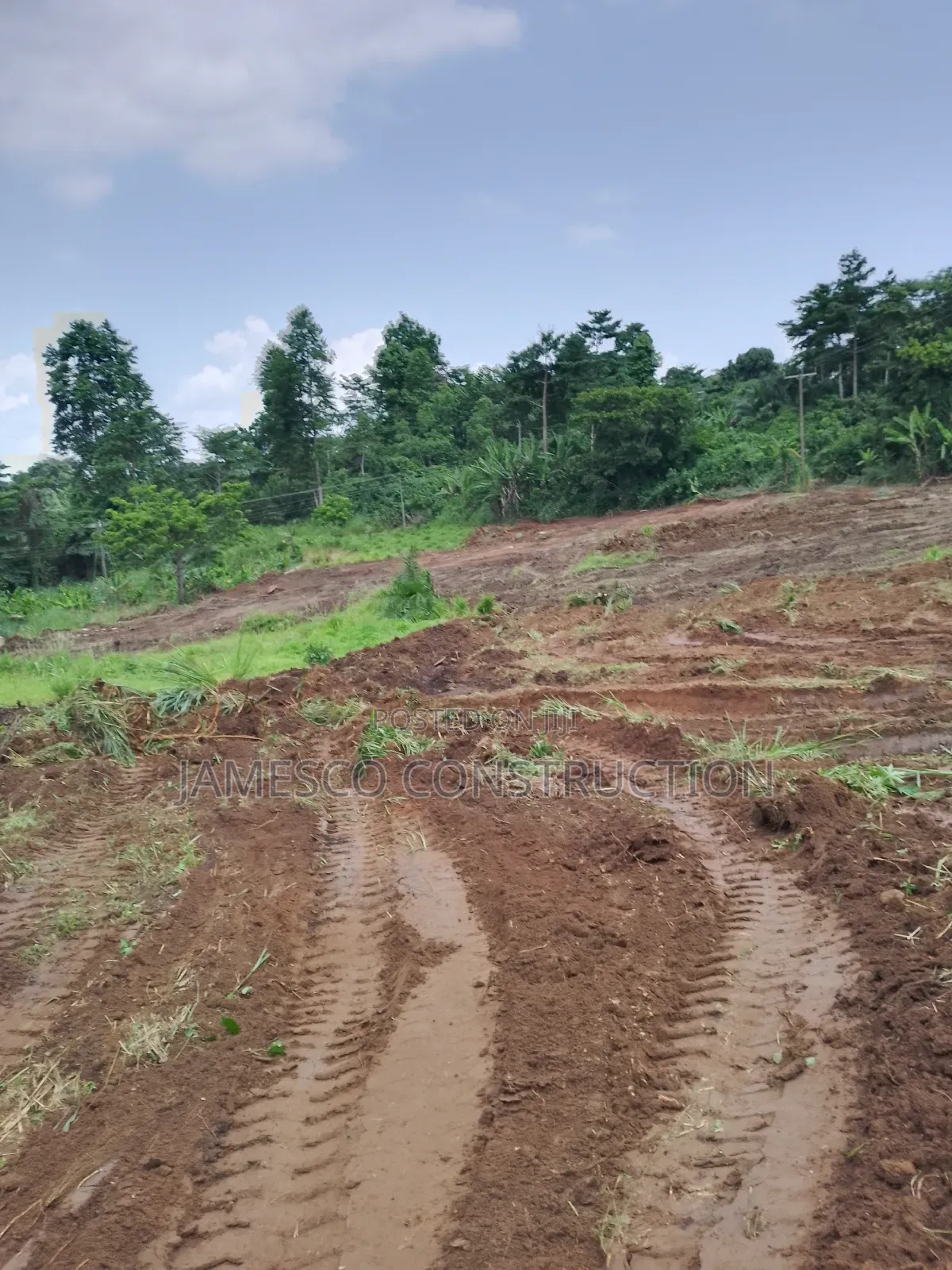 200 Acres of Farmland for Sale