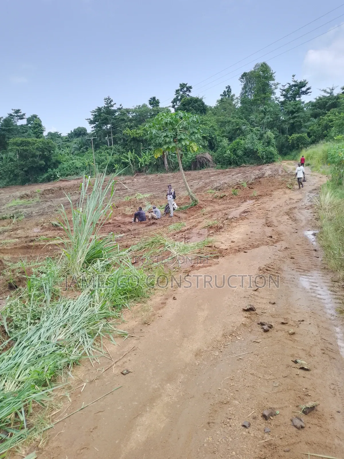 200 Acres of Farmland for Sale