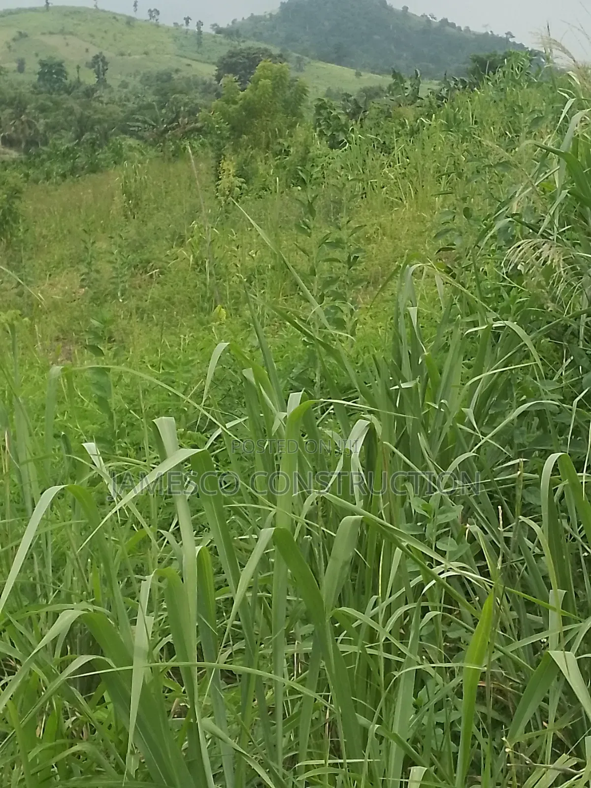Main Road  Side Farmlands for Sale