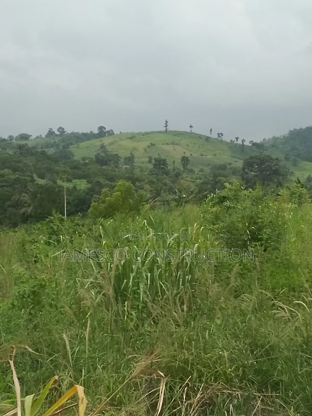 Main Road  Side Farmlands for Sale