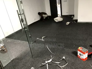 Professional Artificial Grass Or Woollen Carpet Installer