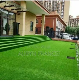 Professional Artificial Grass Or Woollen Carpet Installer