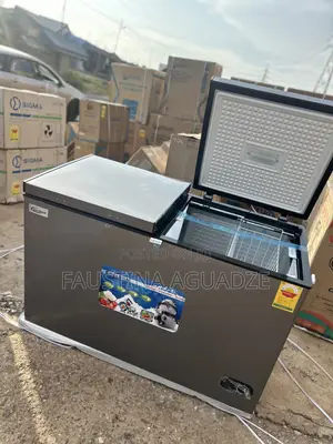 Delron 350 Litres Double Door Chest Freezer