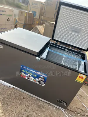 Delron 350 Litres Double Door Chest Freezer