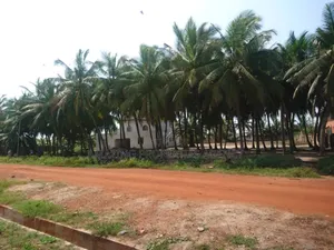 7 Plots of Beach Land for Sale at Nungua